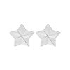 Oorbellen Finaste | Statement Star Stud Earrings