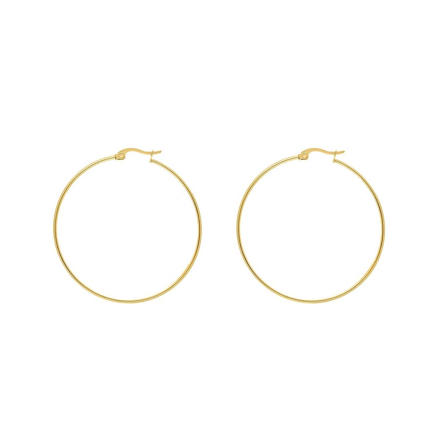 Oorbellen Finaste | Big Hoop Earrings Goldplated